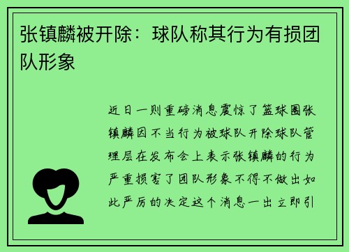 张镇麟被开除：球队称其行为有损团队形象